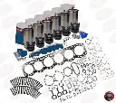 DDTP Basic Overhaul Kit S60 14L (23538418)
